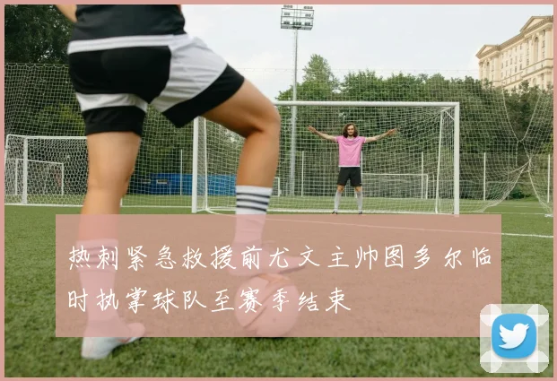 热刺紧急救援前尤文主帅图多尔临时执掌球队至赛季结束