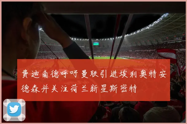 费迪南德呼吁曼联引进埃利奥特安德森并关注荷兰新星斯密特