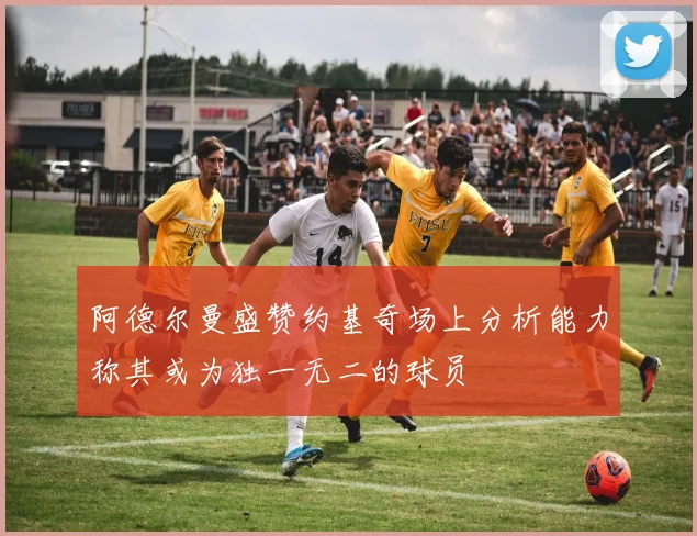 阿德尔曼盛赞约基奇场上分析能力称其或为独一无二的球员